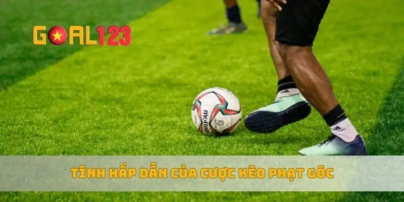 Tính hấp dẫn của cược kèo phạt góc