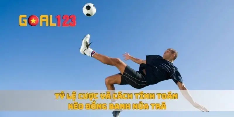 Tỷ lệ cược và cách tính toán kèo đồng banh nửa trái