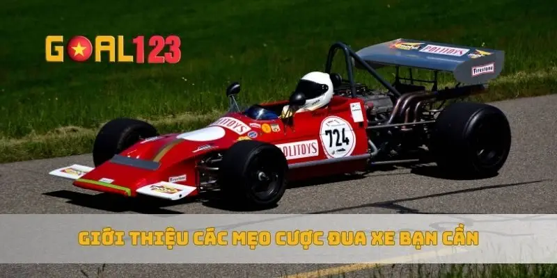 Giới thiệu các mẹo cược đua xe bạn cần