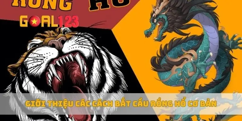 Giới thiệu các cách bắt cầu rồng hổ cơ bản